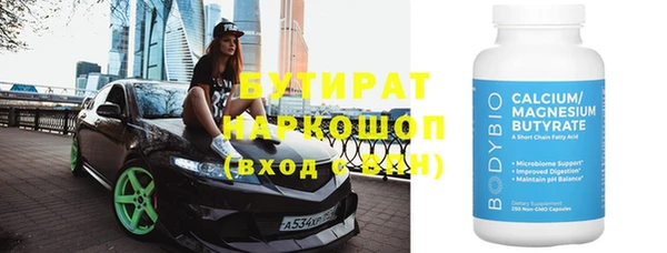 индика Краснослободск