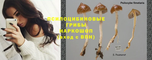индика Краснослободск