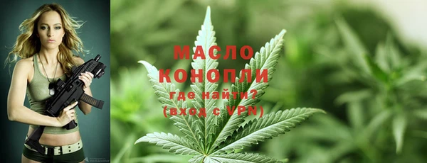 индика Краснослободск