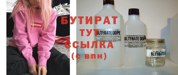 индика Краснослободск