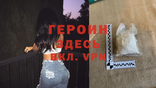 индика Краснослободск