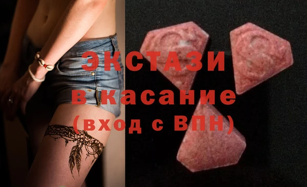 индика Краснослободск