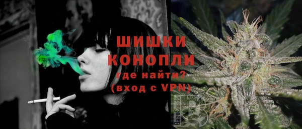 индика Краснослободск