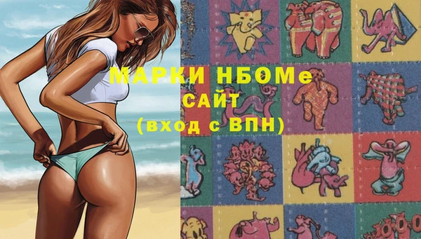 индика Краснослободск