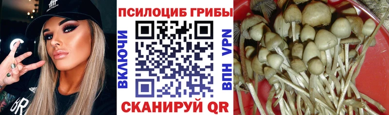 Купить где  Вуктыл  Псилоцибиновые грибы GOLDEN TEACHER 